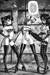 bondage Fairies 02